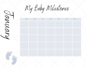 baby milestones sticker calendar