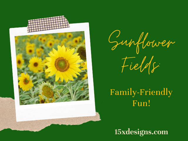Sunflower Farms - sunflower stickers - art